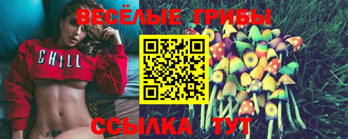 Галлюциногенные грибы Psilocybine cubensis Ярославль